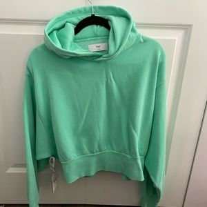 Aritzia TNA hoodie